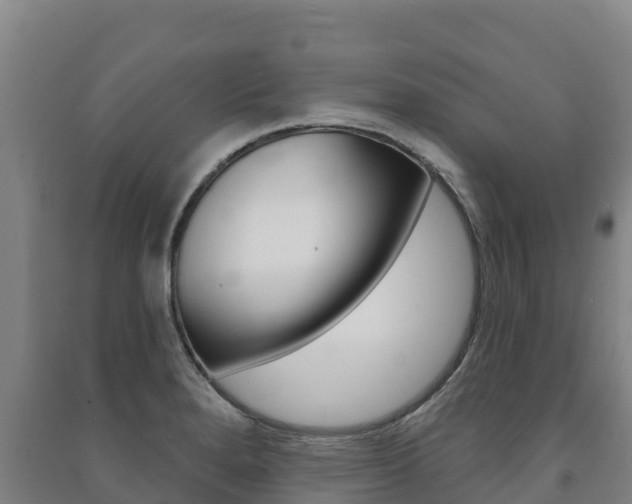 X0000091471280200708161120