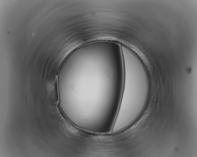 X0000091471281200708161120