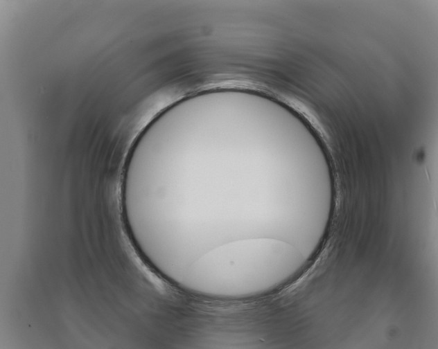 X0000091471282200708161120