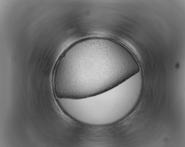 X0000091471283200708161120