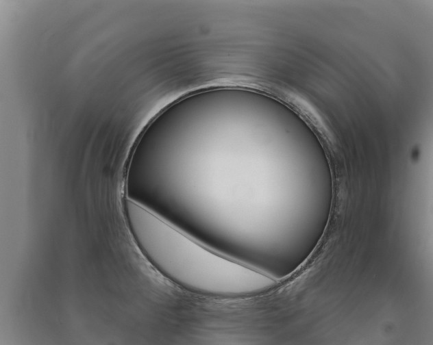 X0000091471284200708161120