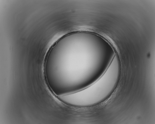 X0000091471285200708161120