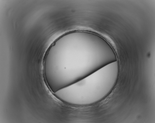 X0000091471287200708161120
