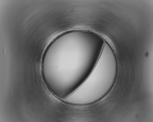 X0000091471288200708161120