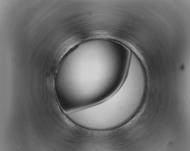 X0000091471289200708161120