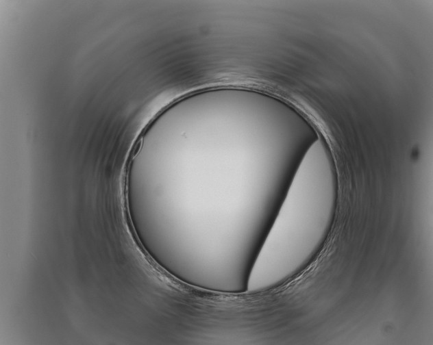 X0000091471291200708161120