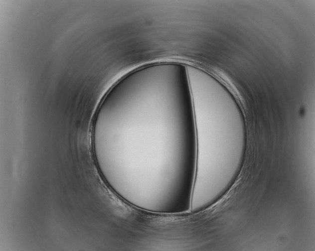 X0000091471292200708161120