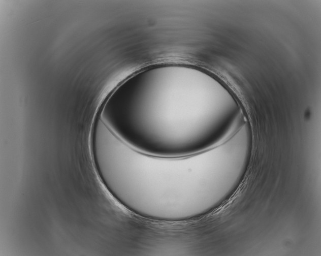 X0000091471293200708161120