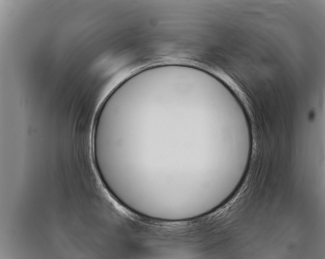 X0000091471294200708161120