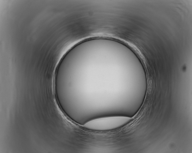 X0000091471295200708161120