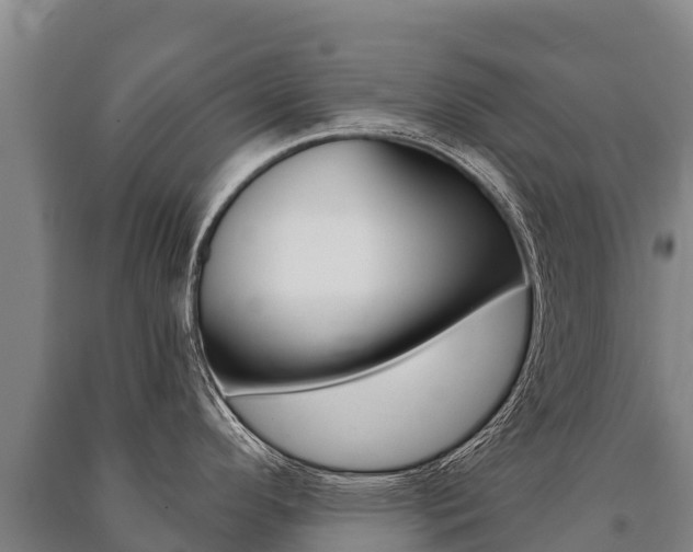 X0000091471296200708161120