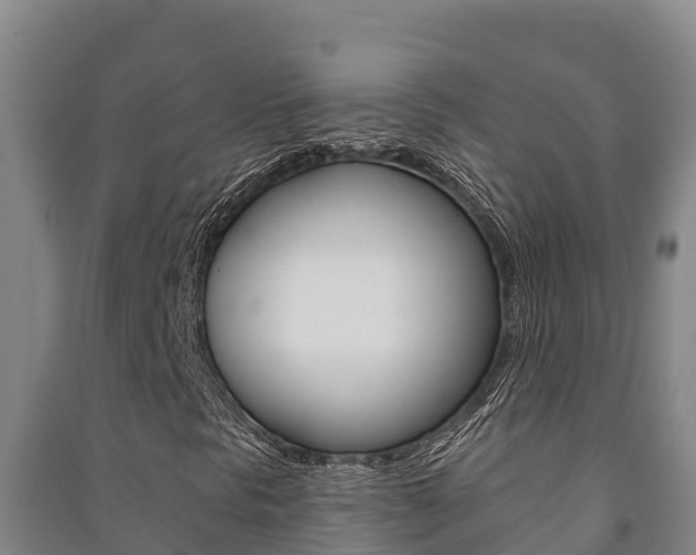 X0000091471297200708161119