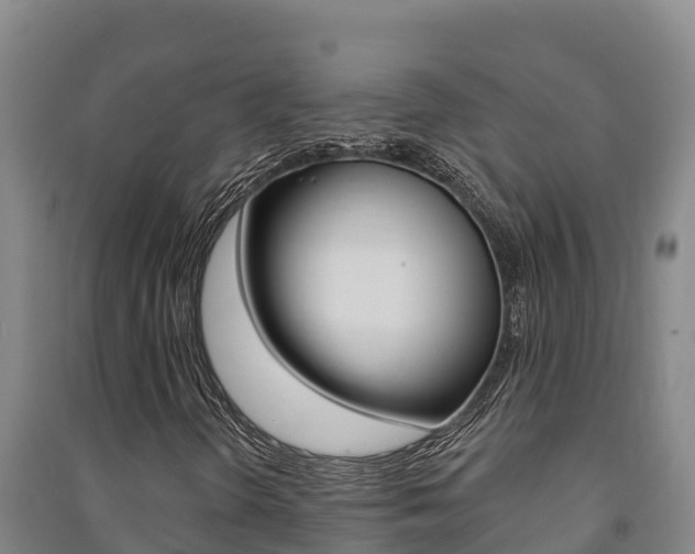 X0000091471298200708161119