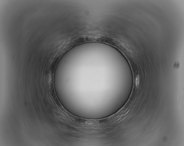 X0000091471299200708161119