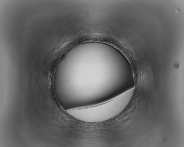 X0000091471301200708161119