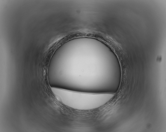 X0000091471302200708161119