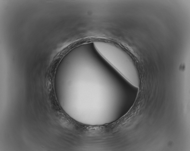 X0000091471303200708161119