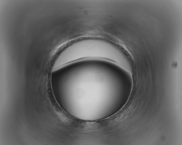 X0000091471304200708161119