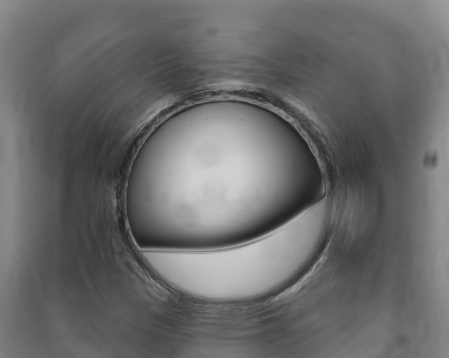 X0000091471305200708161119
