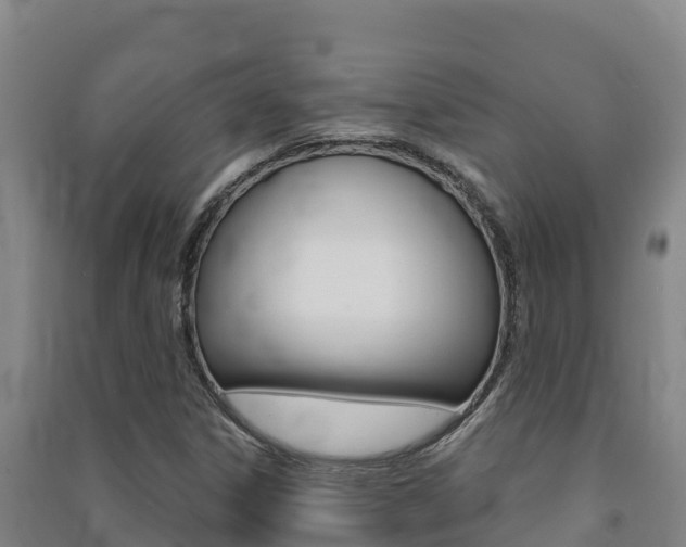 X0000091471306200708161119