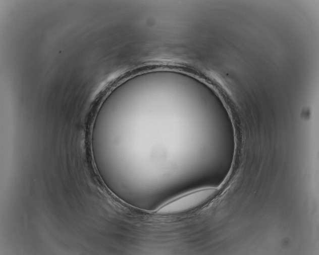 X0000091471307200708161119