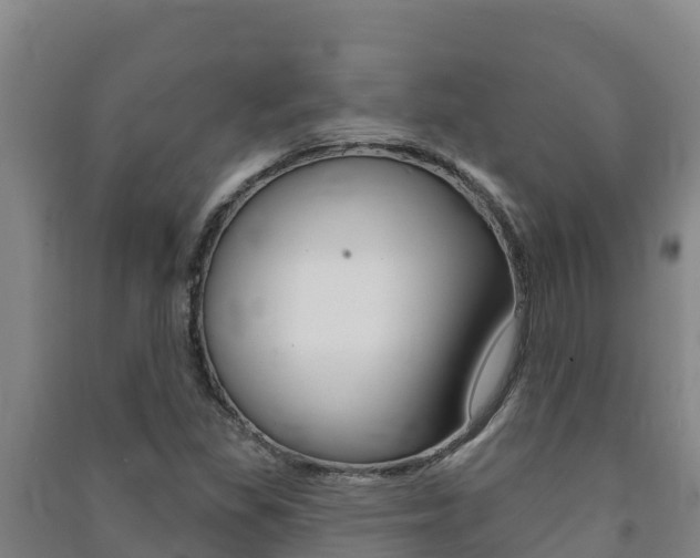 X0000091471309200708161119