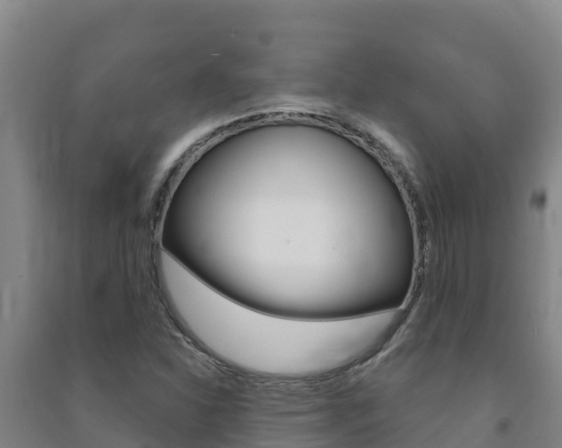 X0000091471310200708161119