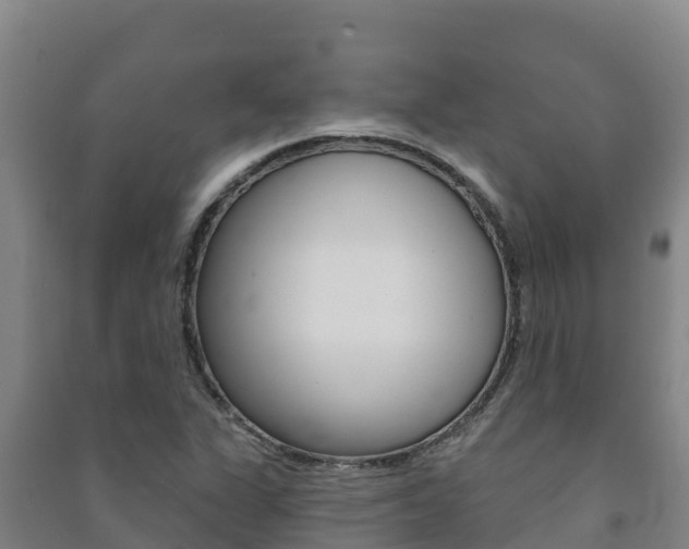 X0000091471311200708161119