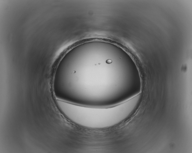 X0000091471312200708161119