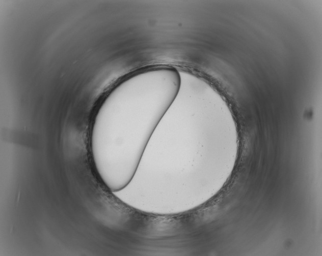 X0000091471314200708161120