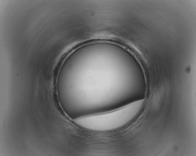 X0000091471315200708161120