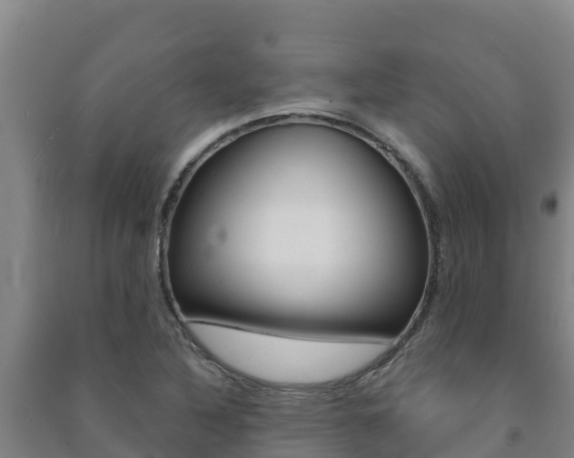 X0000091471316200708161120