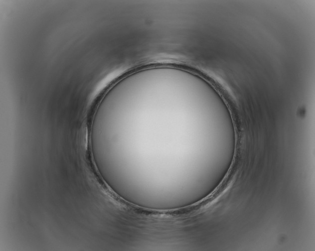 X0000091471317200708161120