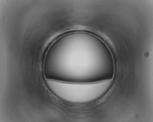 X0000091471318200708161120