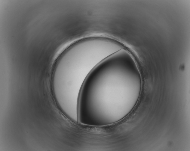 X0000091471319200708161120