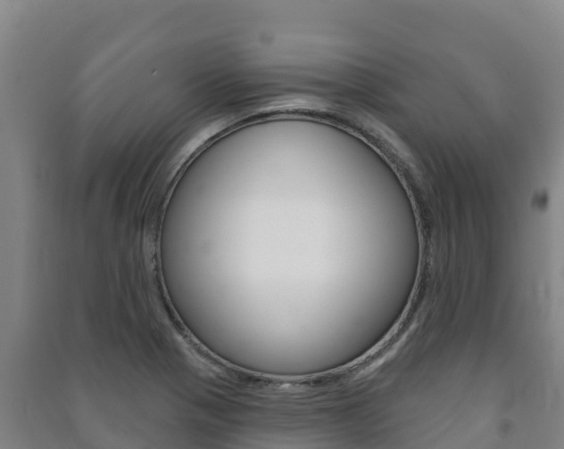 X0000091471321200708161120