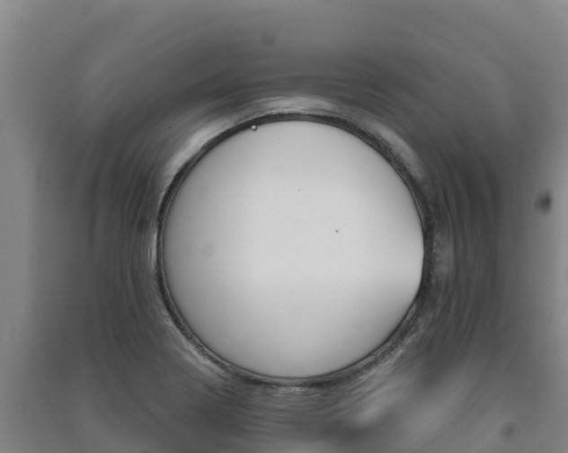 X0000091471322200708161120