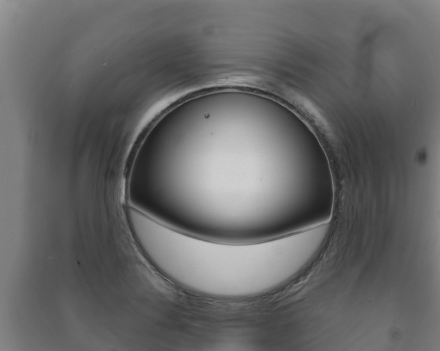 X0000091471324200708161120