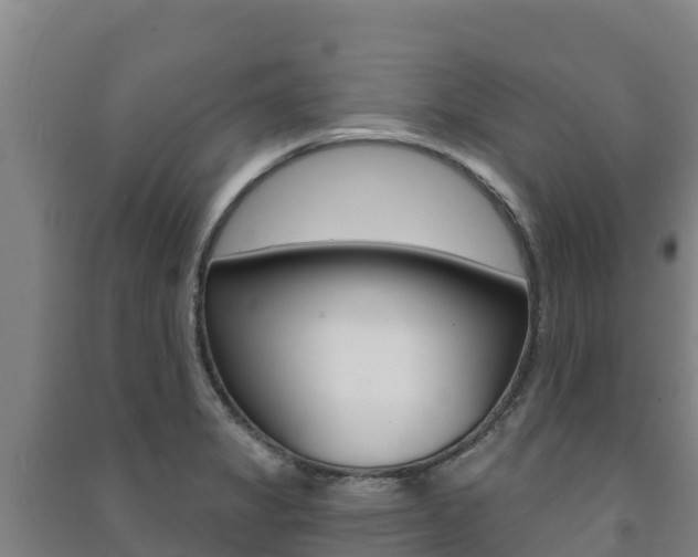X0000091471325200708161120