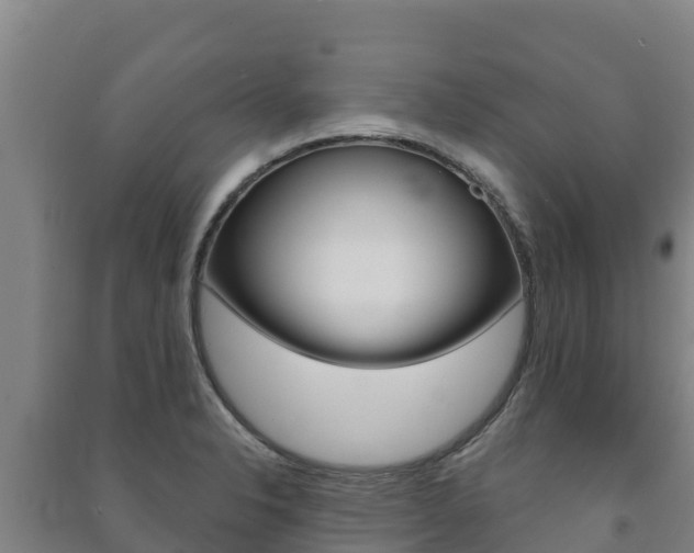 X0000091471326200708161120