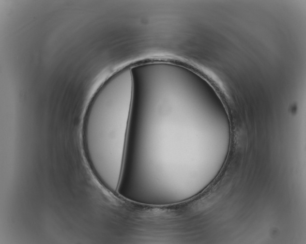 X0000091471327200708161120