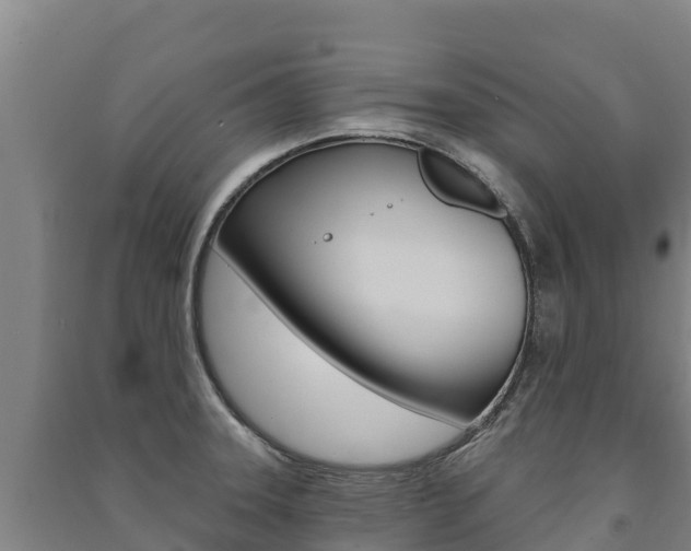 X0000091471331200708161120