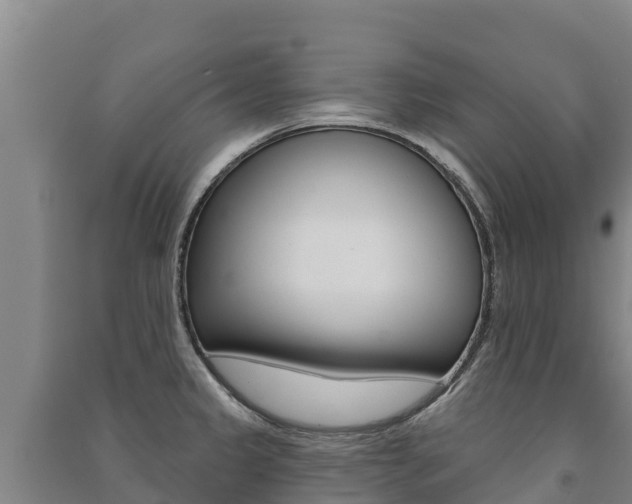 X0000091471333200708161120