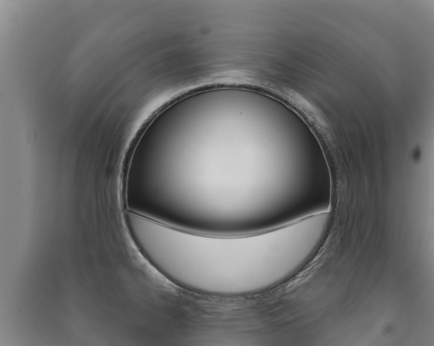 X0000091471334200708161120