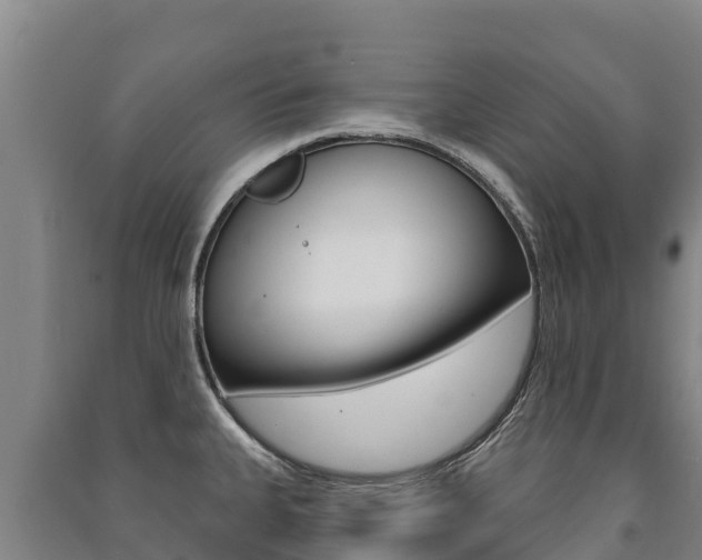 X0000091471335200708161120