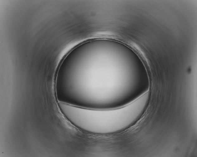 X0000091471336200708161120