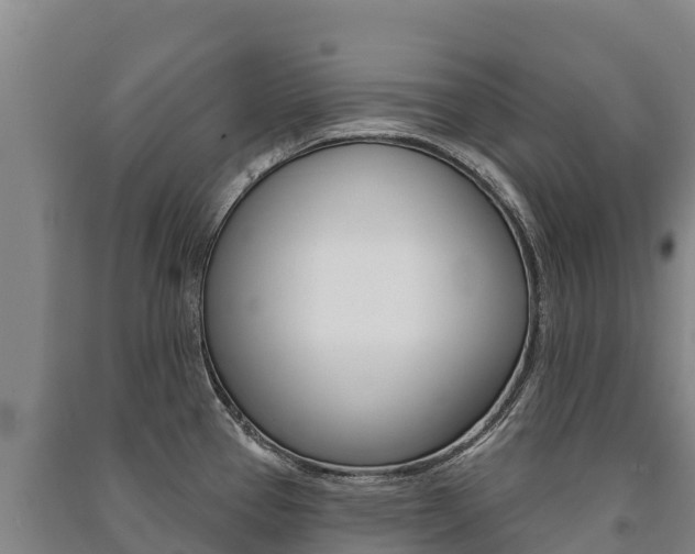 X0000091471337200708161120