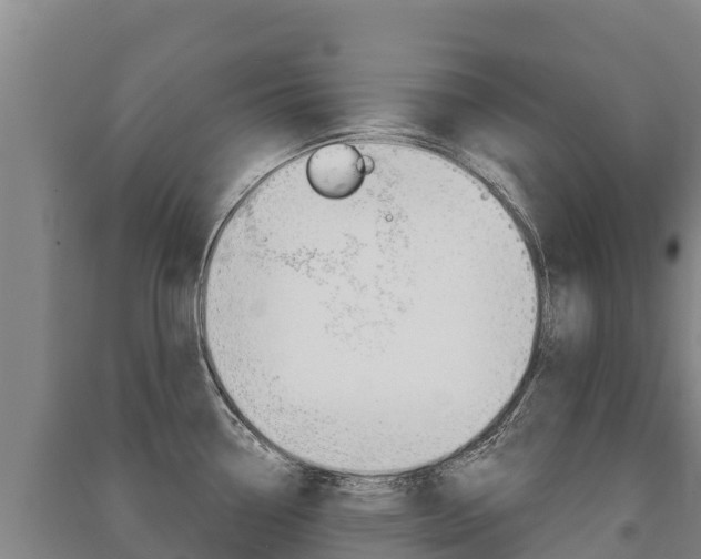 X0000091471338200708161120