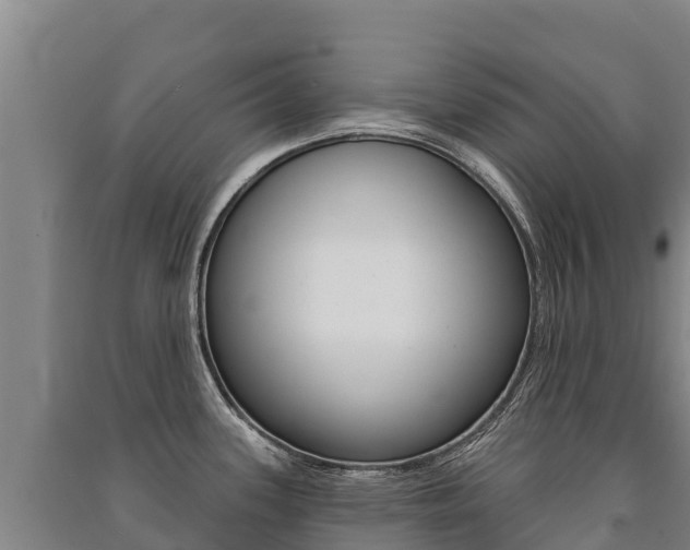 X0000091471339200708161120