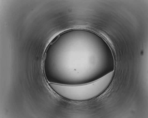 X0000091471340200708161120